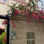 هتل آپارتمان تائب شیراز